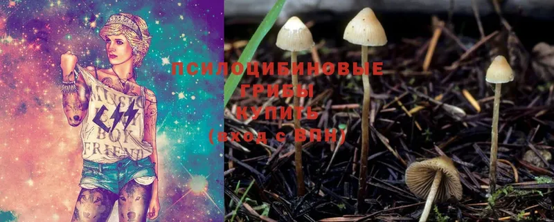 hydra как зайти  Демидов  Галлюциногенные грибы Magic Shrooms 